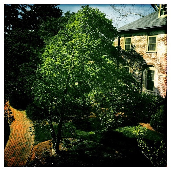 Meet your Posh Ambassador, Kristina - Picture 8 of 9